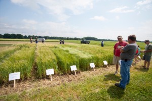 Visitors to the Upper Peninsula Research and Extension Center (UPREC) Field Day visit in front of the research plots 