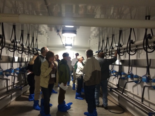 State council members tour below the milking parlor where the machines send the milk.