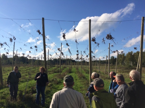 State Council members stand in a hops field and listen to Erin Lizotte talk about Michigan hops.